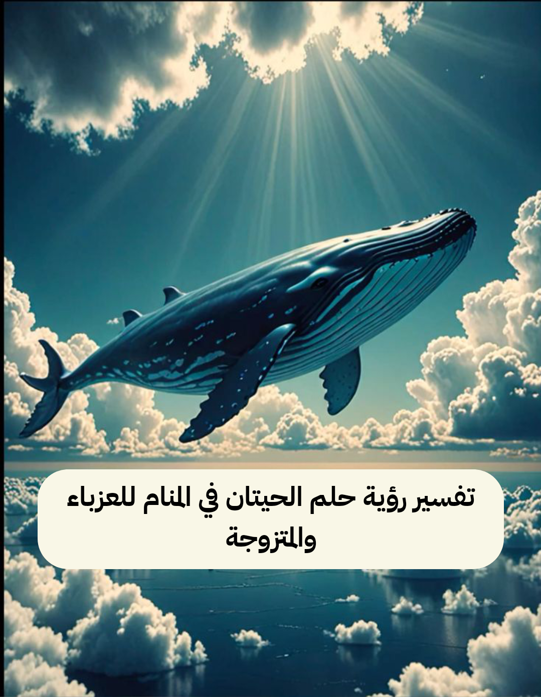 تفسير رؤية حلم الحيتان في المنام للعزباء والمتزوجة