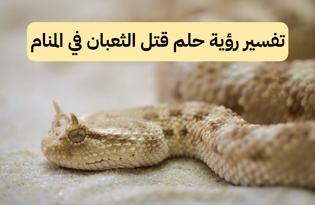 تفسير رؤية حلم قتل الثعبان في المنام للعزباء وللمتزوجة وللمطلقة