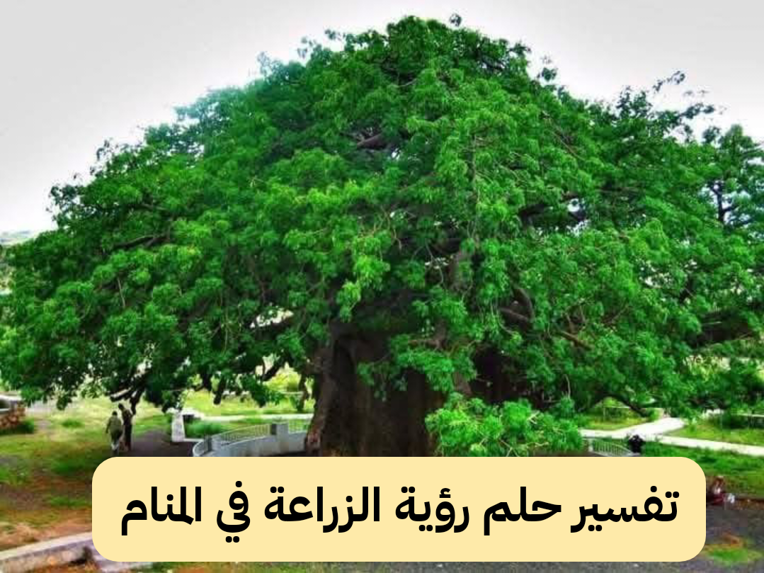 تفسير حلم رؤية الزراعة في المنام
