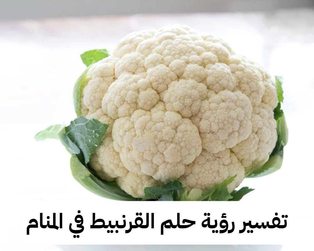 تفسير رؤية حلم القرنبيط في المنام