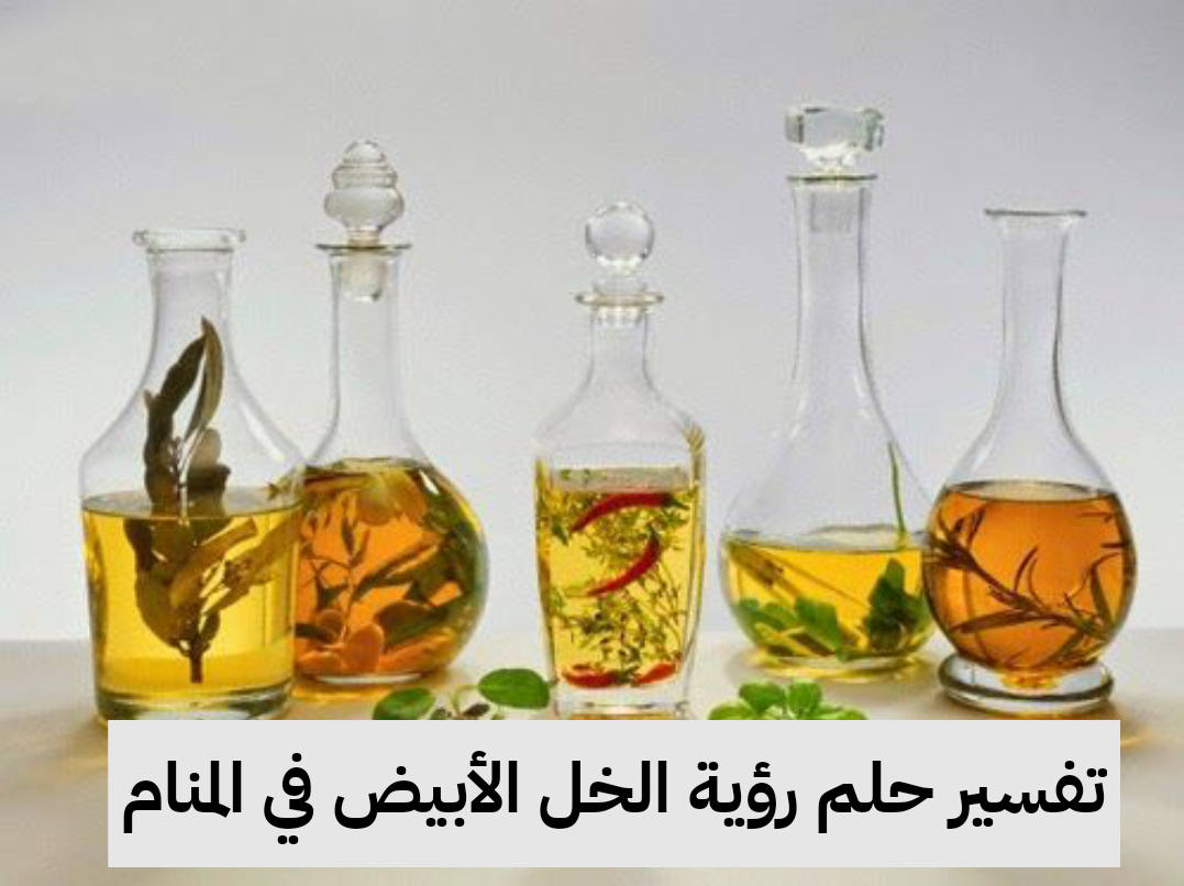 تفسير حلم رؤية الخل الأبيض في المنام