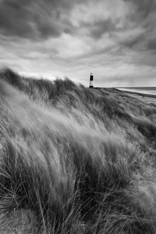 تفسير رؤية الرياح في المنام