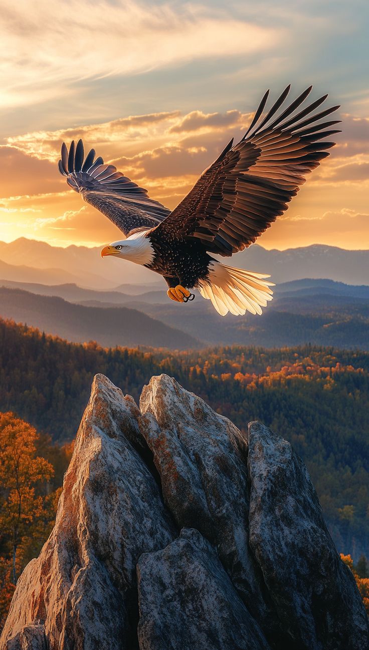 تفسير رؤية النسر في المنام