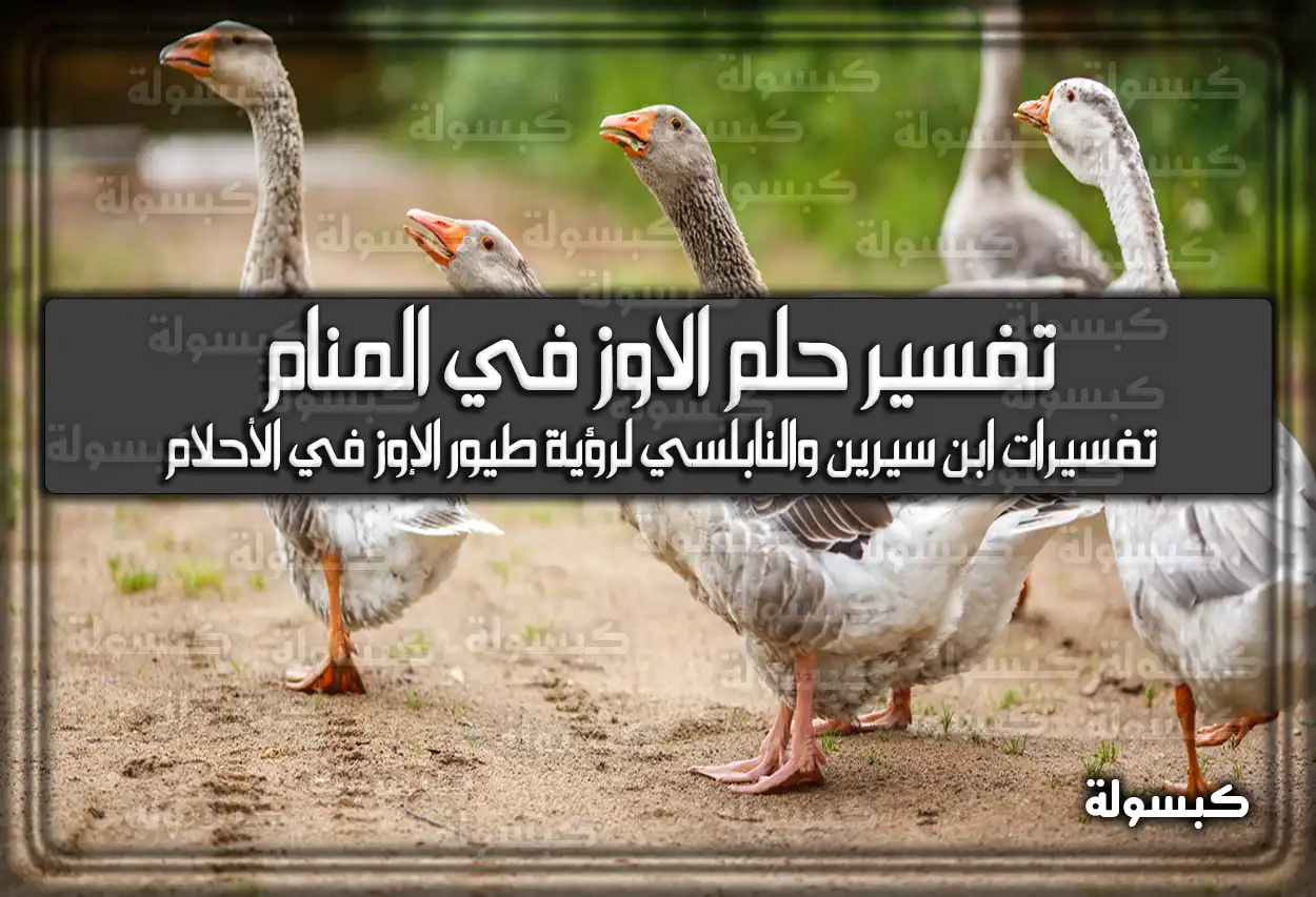 تفسير حلم رؤية الاوز في المنام للعزباء والمتزوجة