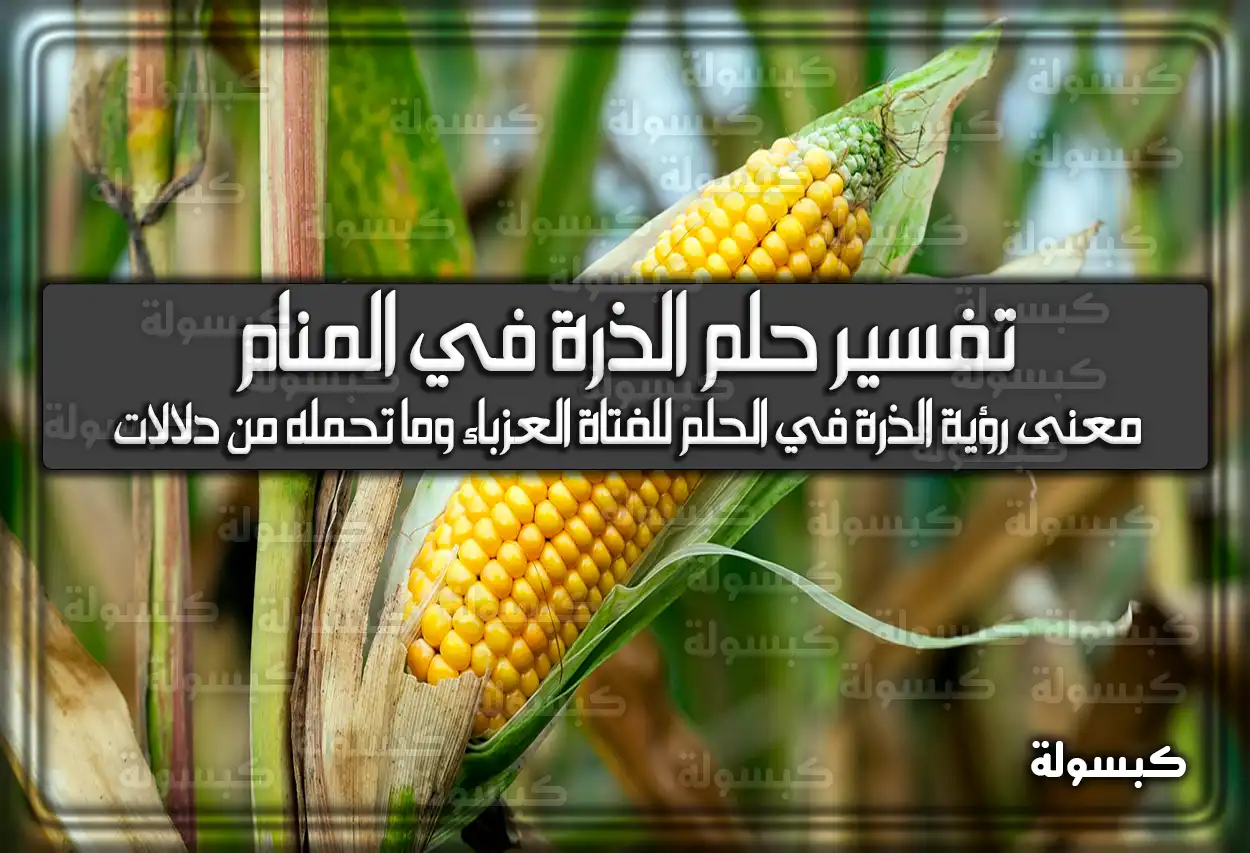 تفسير حلم رؤية الذرة في المنام للعزباء والمتزوجة