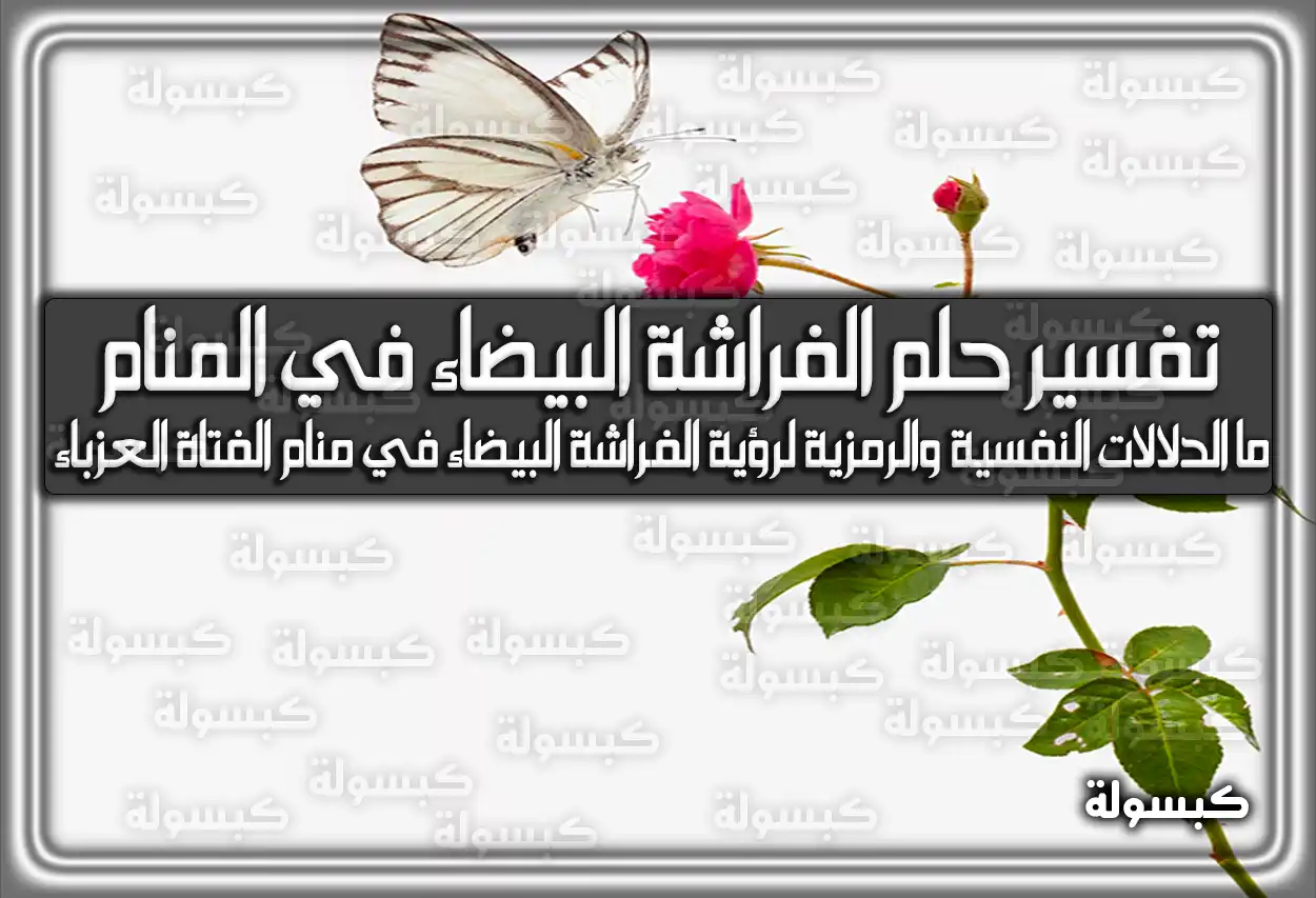 تفسير حلم رؤية الفراشة البيضاء في المنام للعزباء والمتزوجة