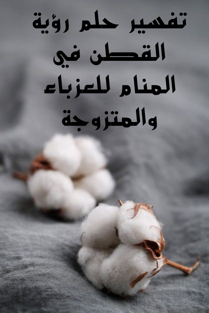 تفسير حلم رؤية القطن في المنام للعزباء والمتزوجة