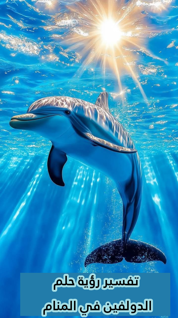 تفسير رؤية حلم الدولفين في المنام .. 9 رموز للعزباء للمتزوجة للحامل