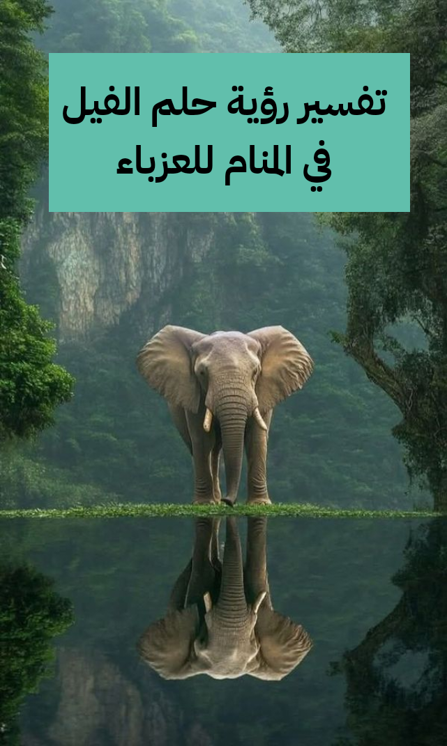 تفسير رؤية حلم الفيل في المنام للعزباء