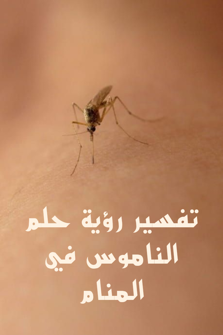 تفسير رؤية حلم الناموس في المنام .. فلس وراحة