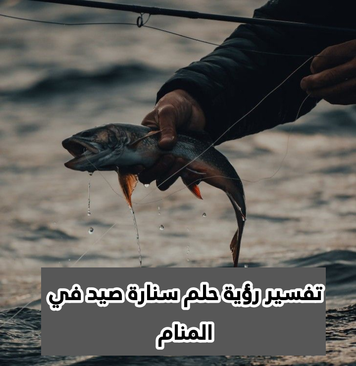 تفسير رؤية حلم سنارة صيد في المنام