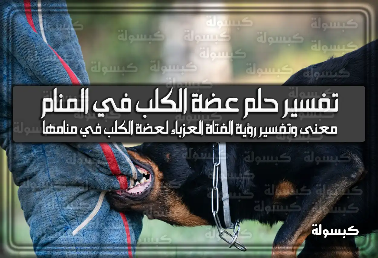 تفسير رؤية حلم عضة الكلب في المنام للعزباء وللمتزوجة