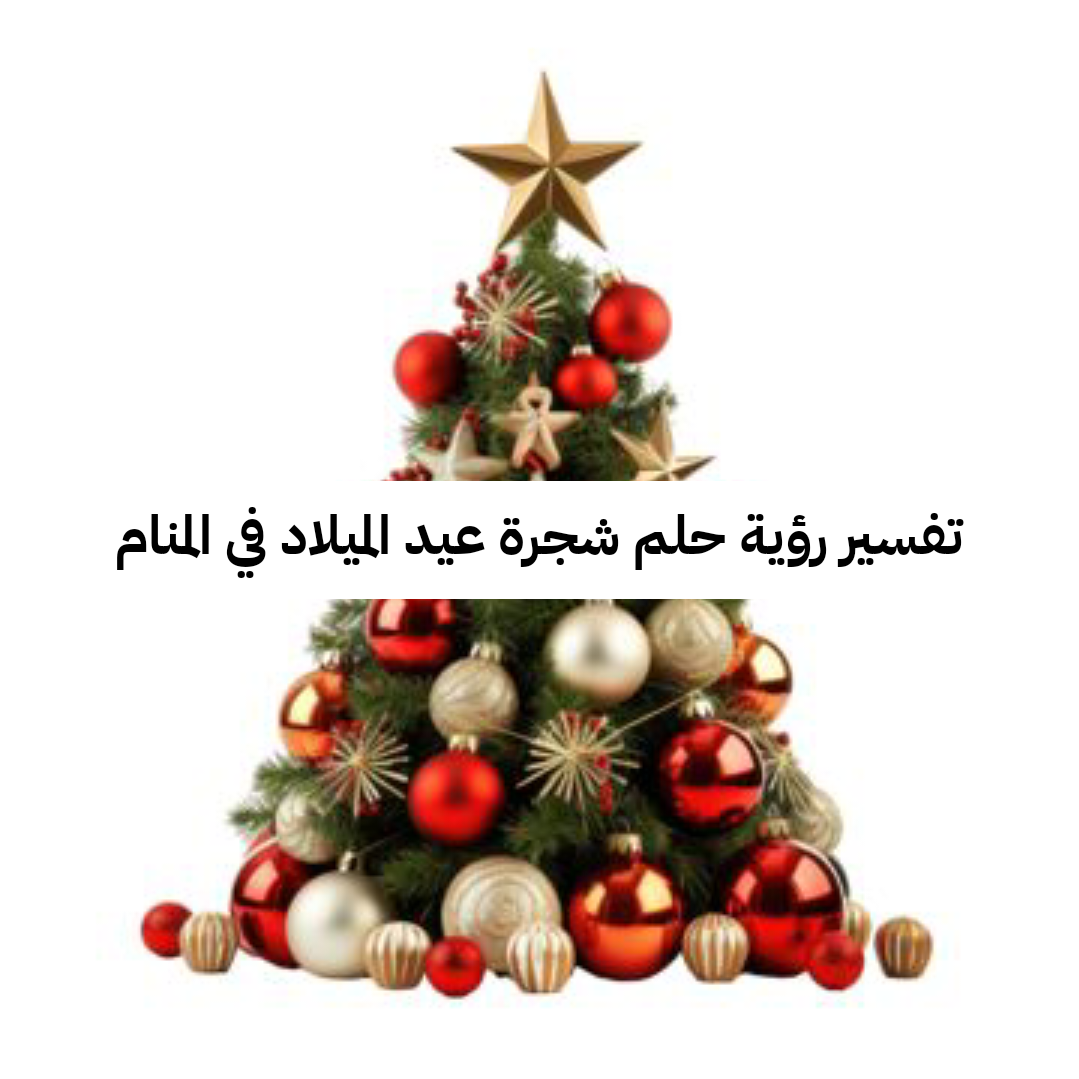 تفسير رؤية حلم شجرة عيد الميلاد في المنام