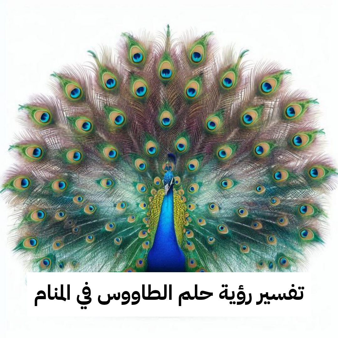 تفسير رؤية حلم الطاووس في المنام