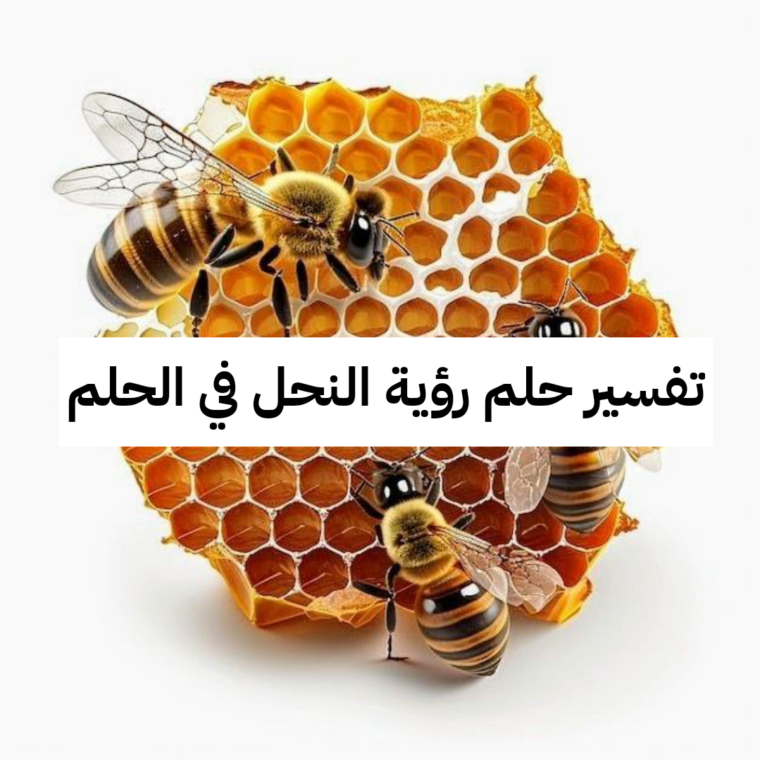 تفسير حلم رؤية النحل في الحلم