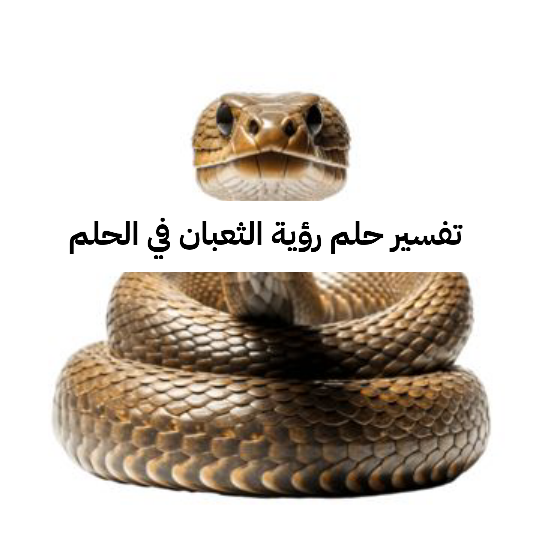 تفسير حلم رؤية الثعبان في الحلم