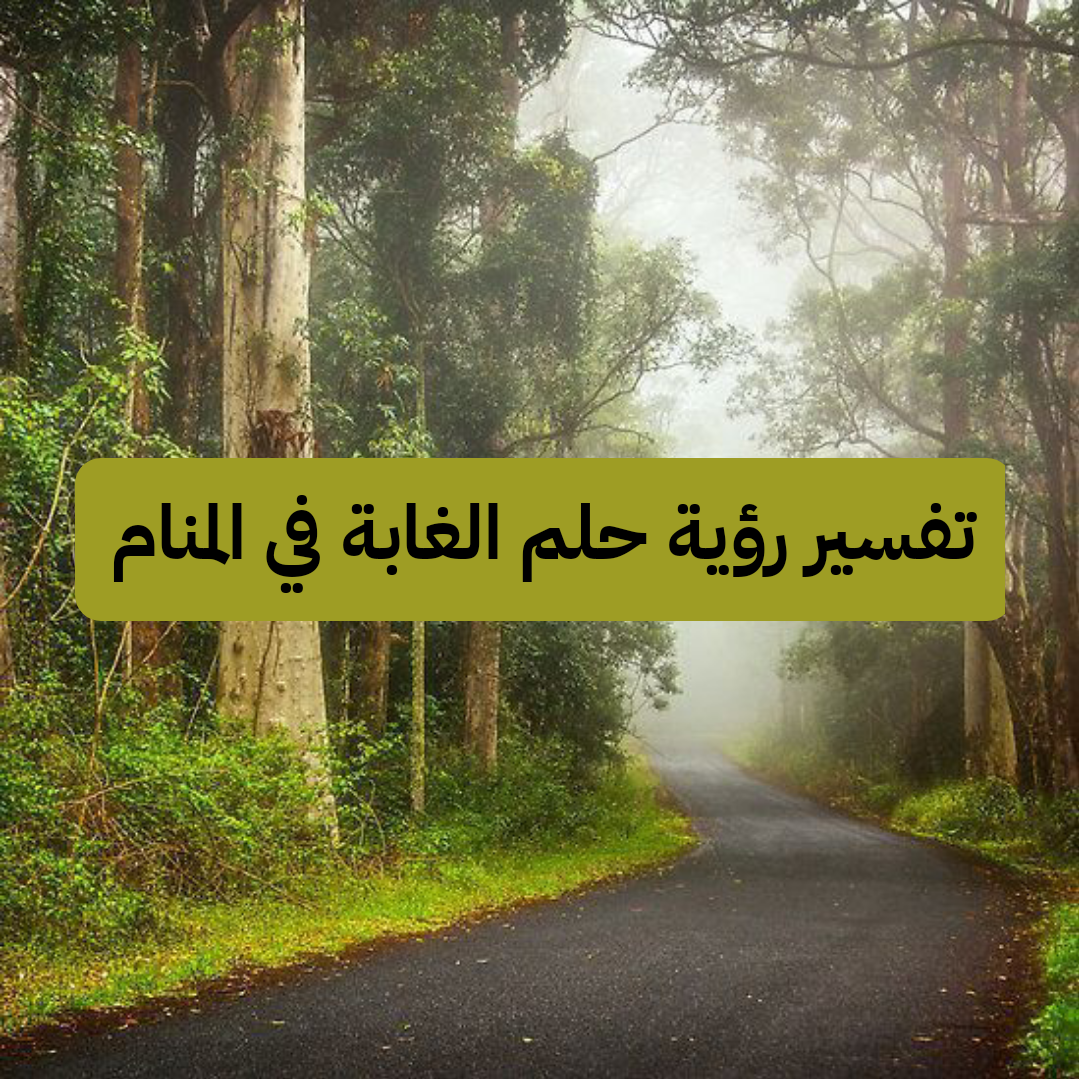 تفسير رؤية حلم الغابة في المنام
