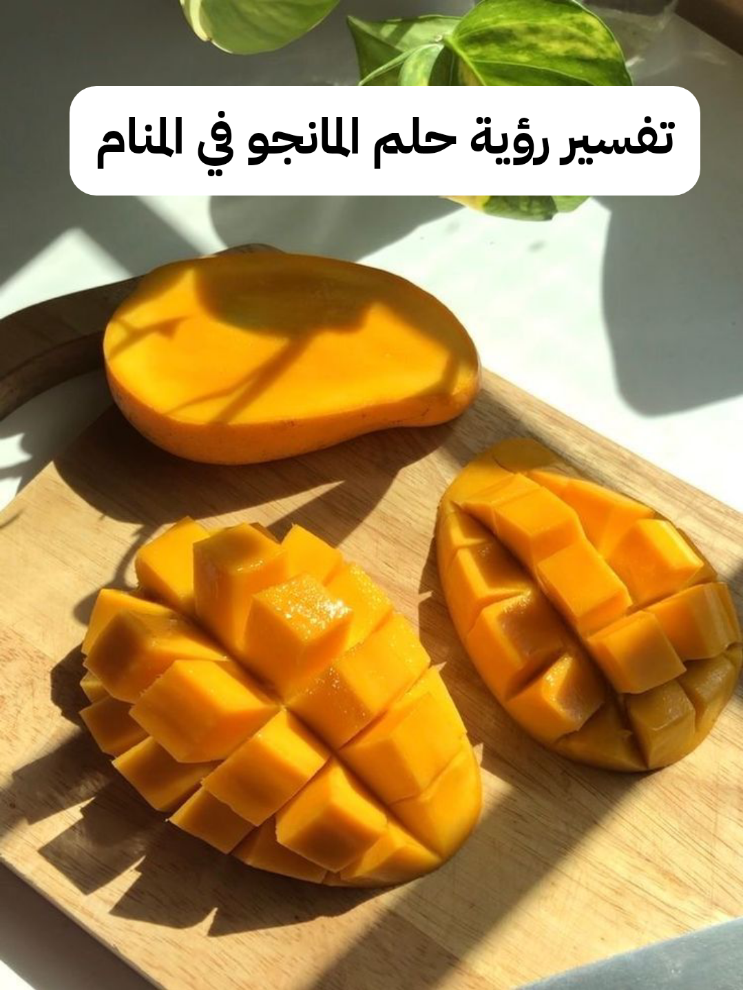 تفسير رؤية حلم المانجو في المنام