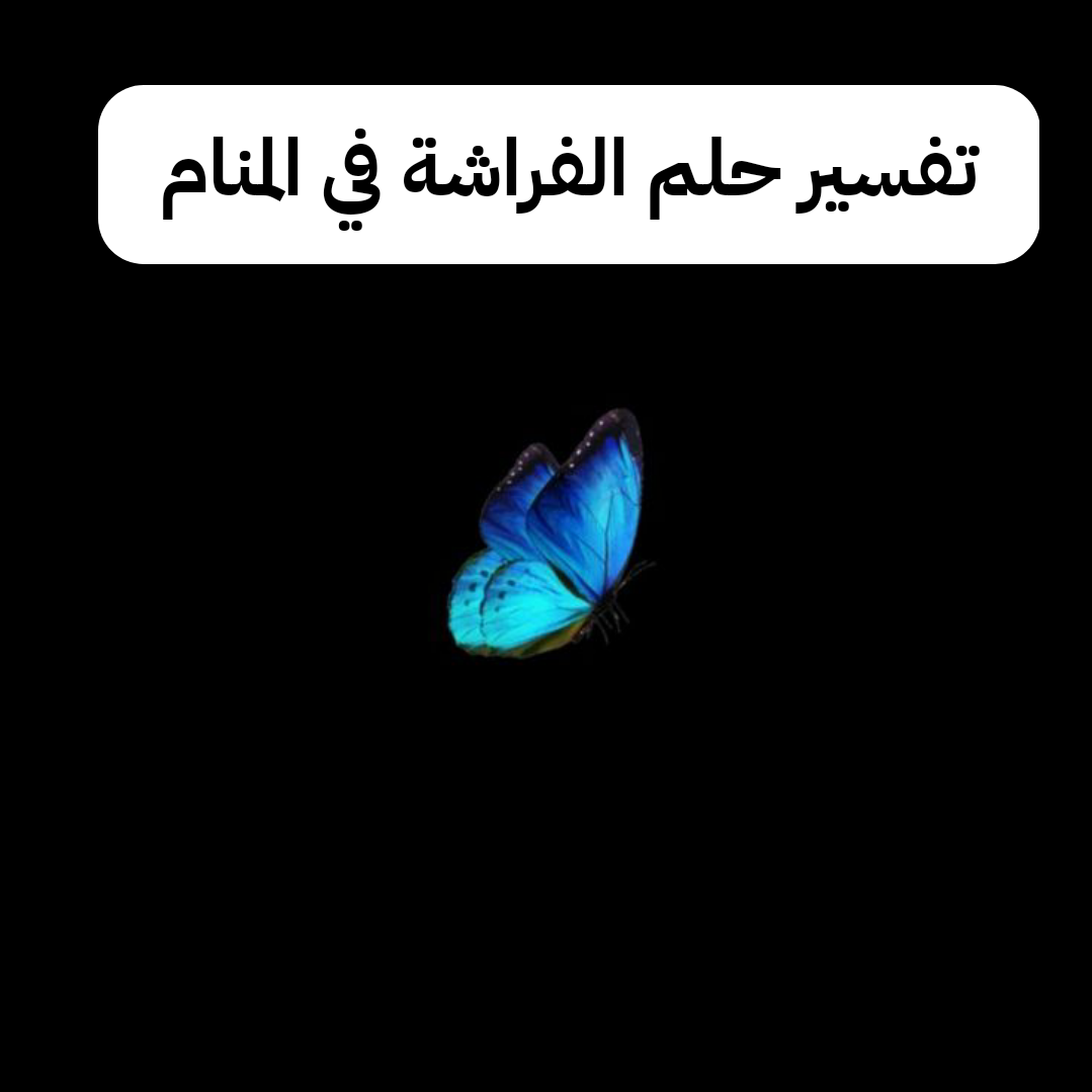 تفسير حلم الفراشة في المنام لابن سيرين – رمز رؤية الفراشات في الحلم