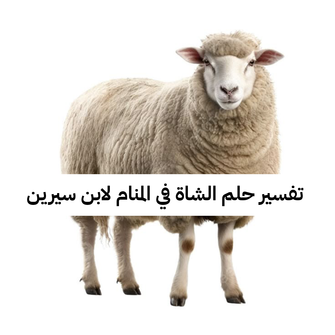 تفسير حلم الشاة في المنام لابن سيرين – رمز رؤية الشاه في الحلم للنابلسي