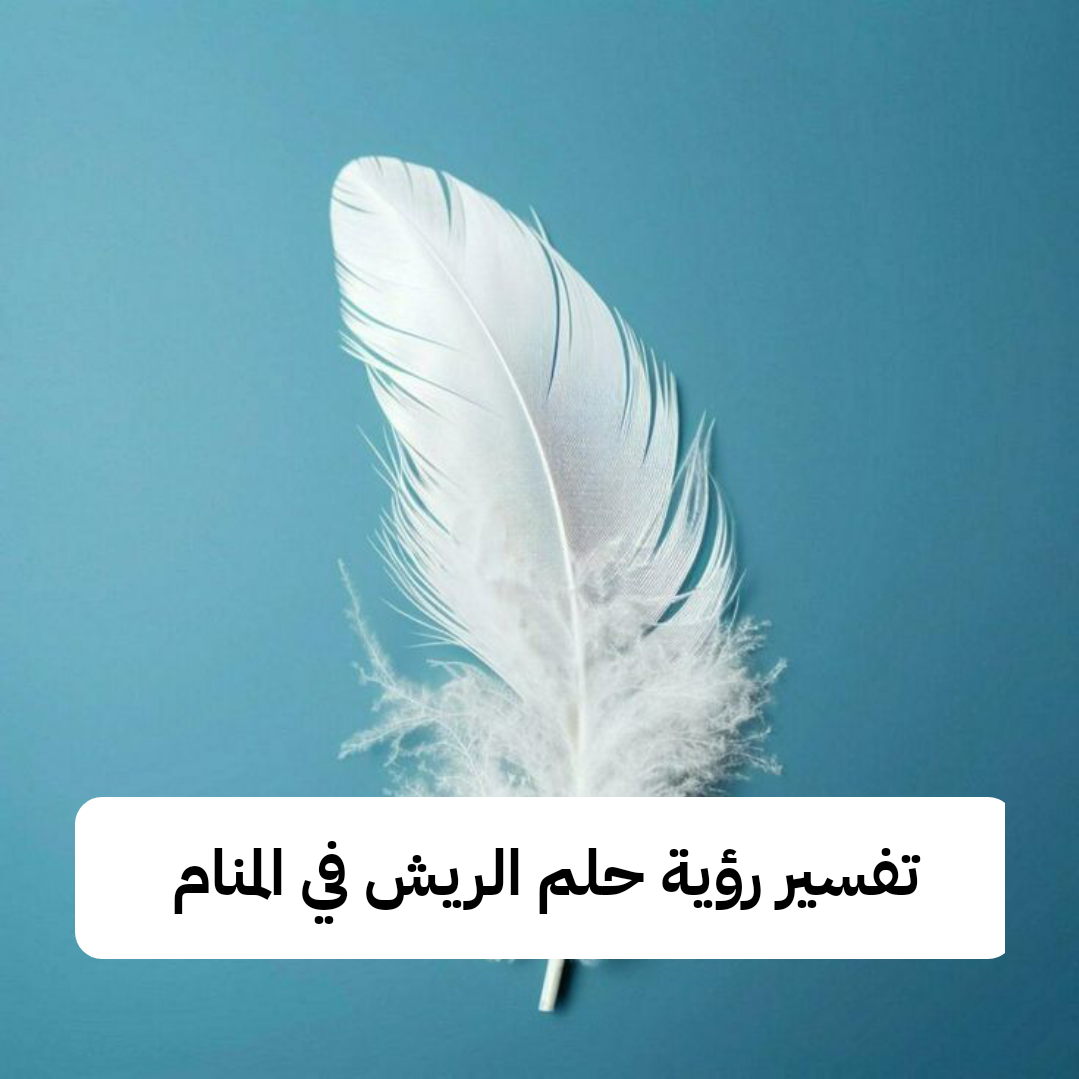 تفسير رؤية حلم الريش في المنام لابن سيرين