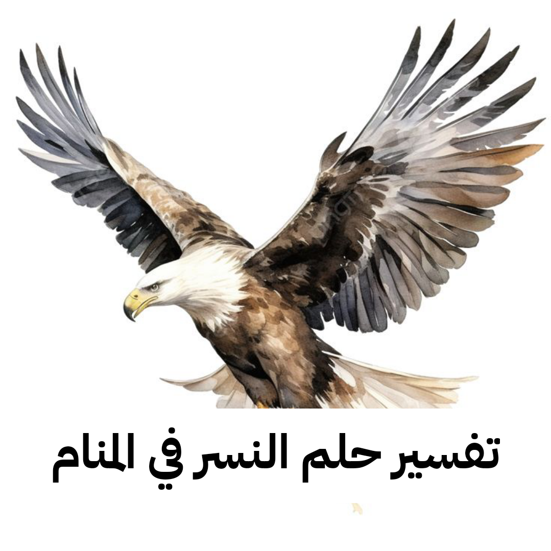 تفسير حلم النسر في المنام – رمز رؤية النسر في الحلم للعزباء