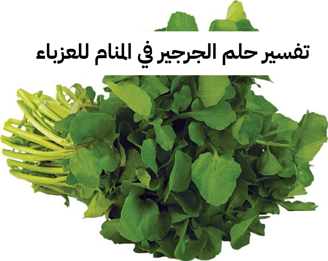 تفسير حلم الجرجير في المنام للعزباء – رمز رؤية الجرجير في الحلم