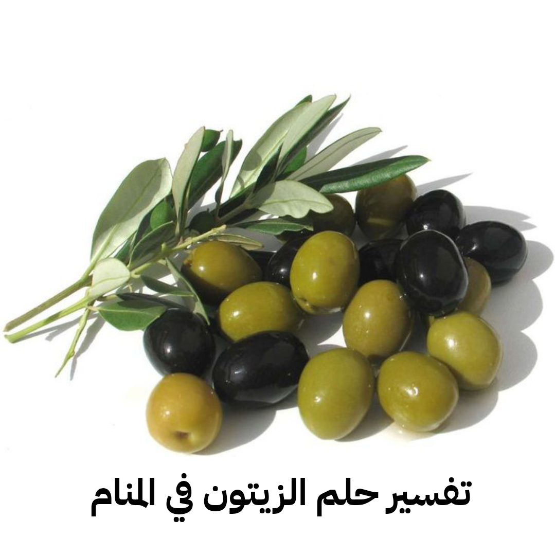 تفسير حلم الزيتون في المنام لابن سيرين – رمز رؤية شجر الزيتون في الحلم