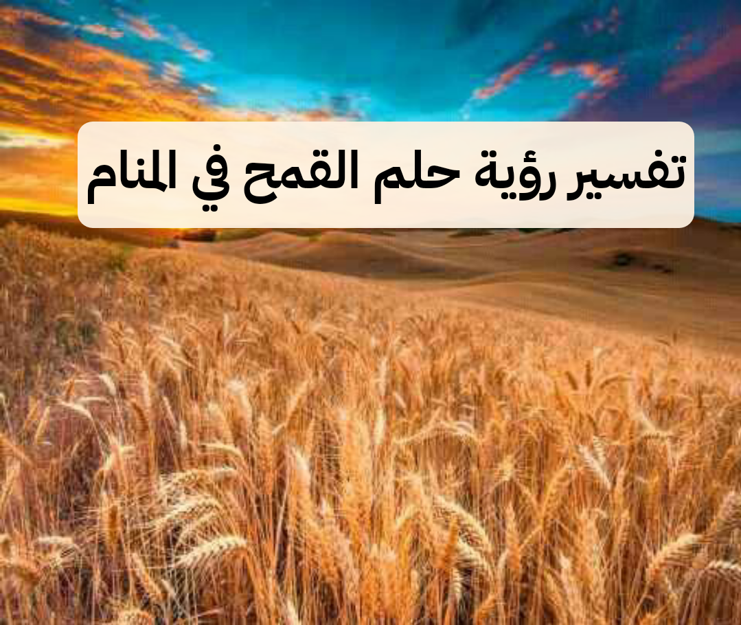 تفسير رؤية حلم القمح في المنام لابن سيرين