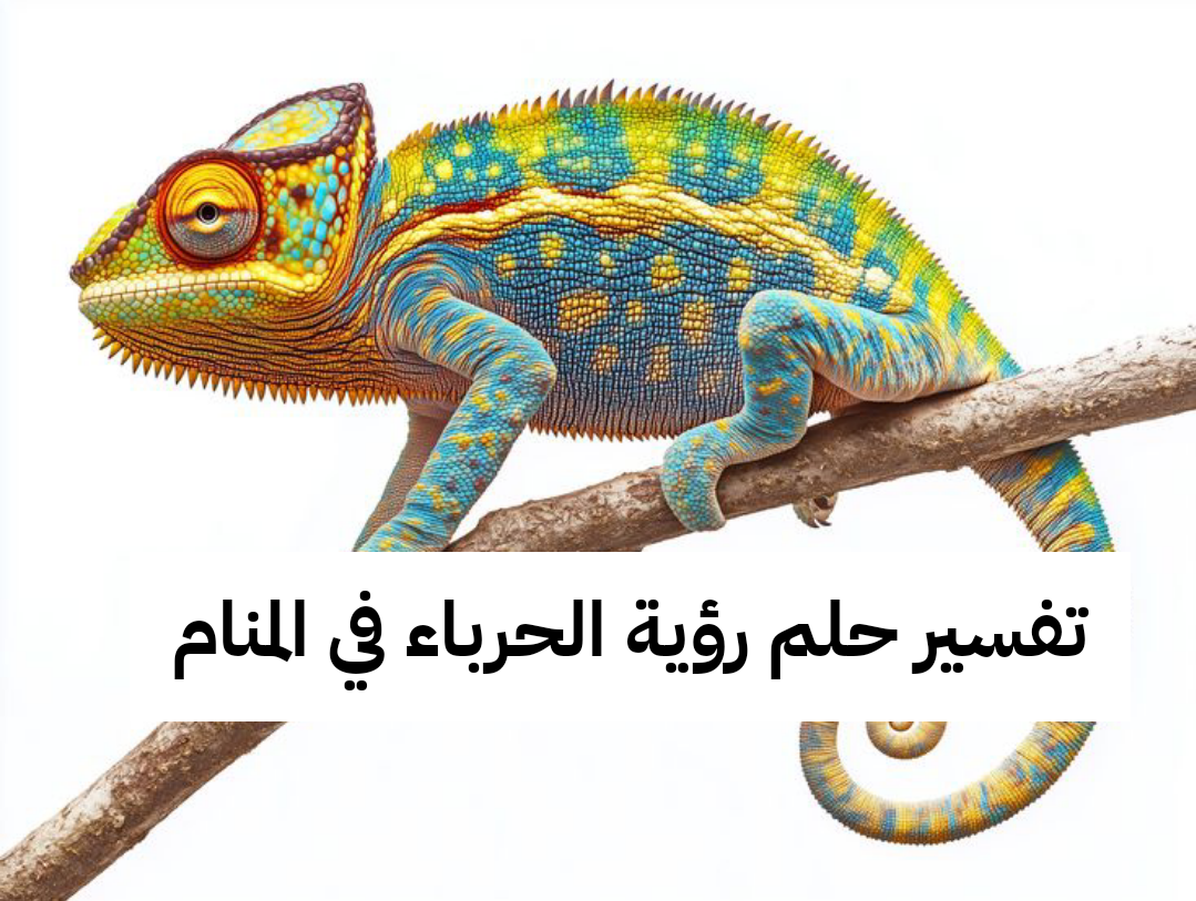 تفسير حلم رؤية الحرباء في المنام