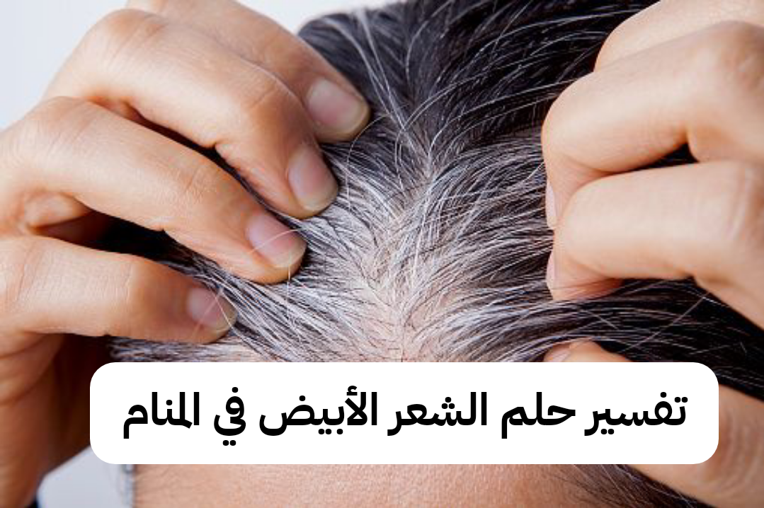 تفسير حلم الشعر الأبيض في المنام – رمز رؤية الشعر الشايب في الحلم