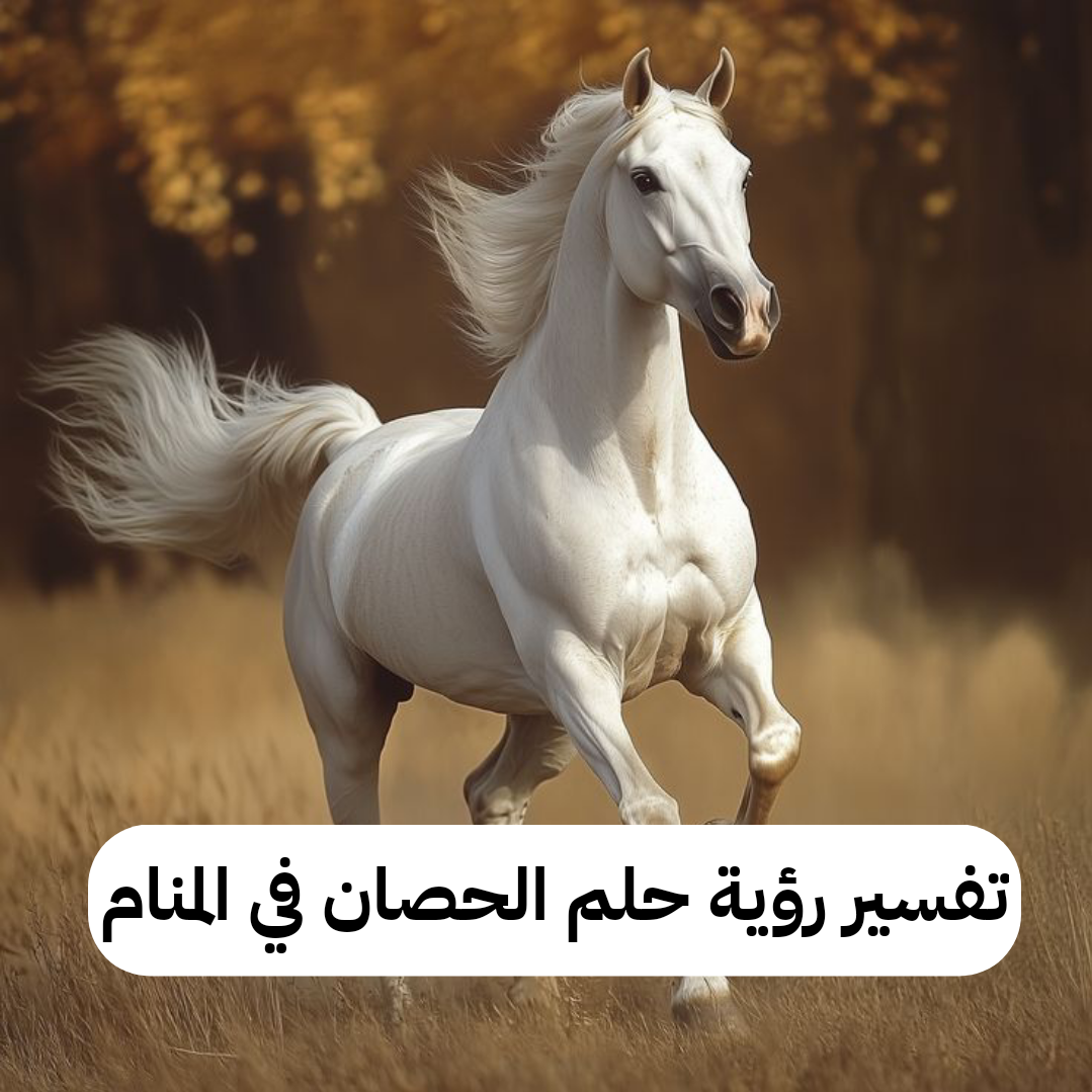تفسير رؤية حلم الحصان في المنام