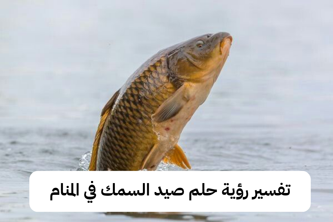 تفسير رؤية حلم صيد السمك في المنام