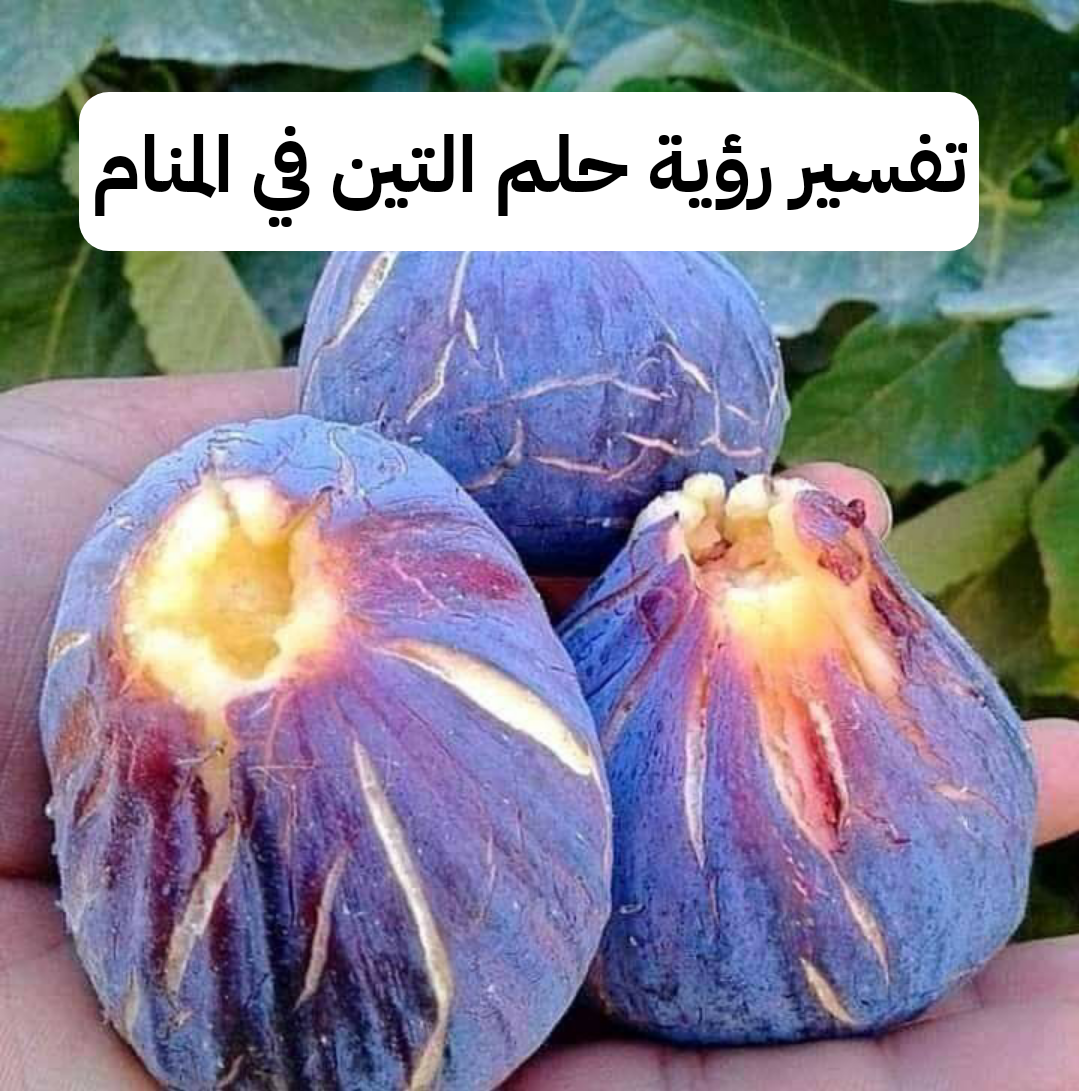 تفسير رؤية حلم التين في المنام