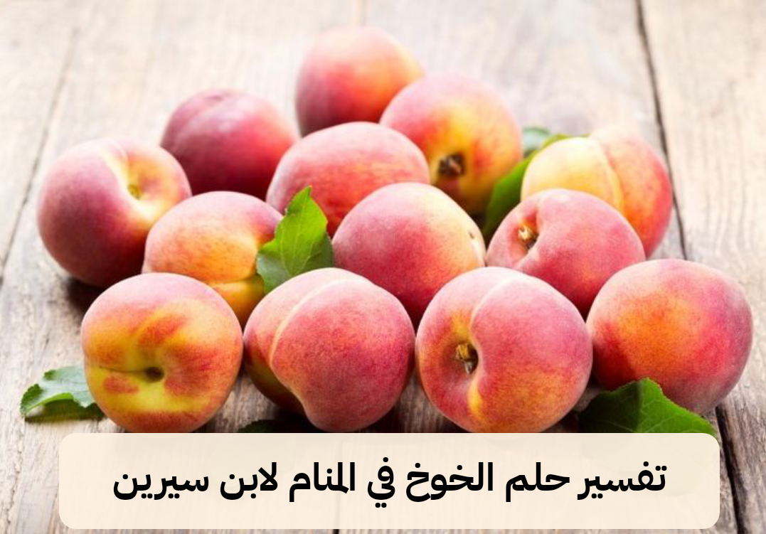 تفسير حلم الخوخ في المنام لابن سيرين – رمز رؤية الخوخ في الحلم