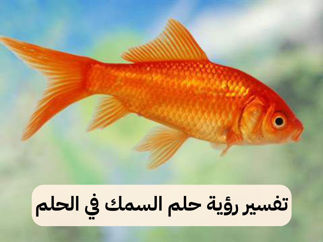 تفسير رؤية حلم السمك في الحلم للنابلسي بالتفصيل