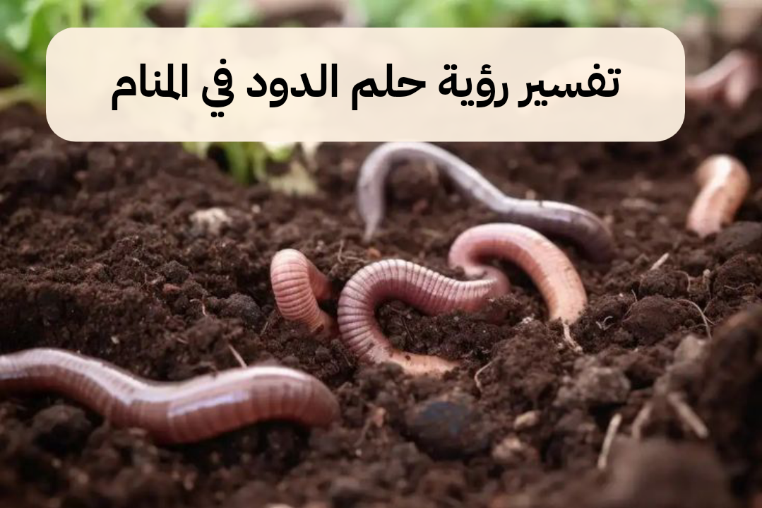 تفسير رؤية حلم الدود في المنام لابن سيرين