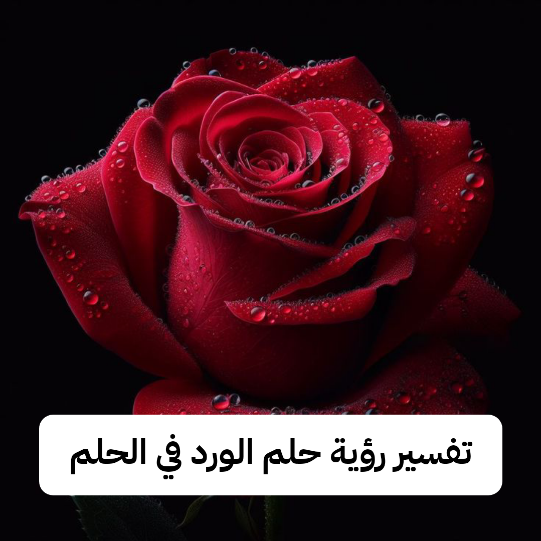 تفسير رؤية حلم الورد في الحلم