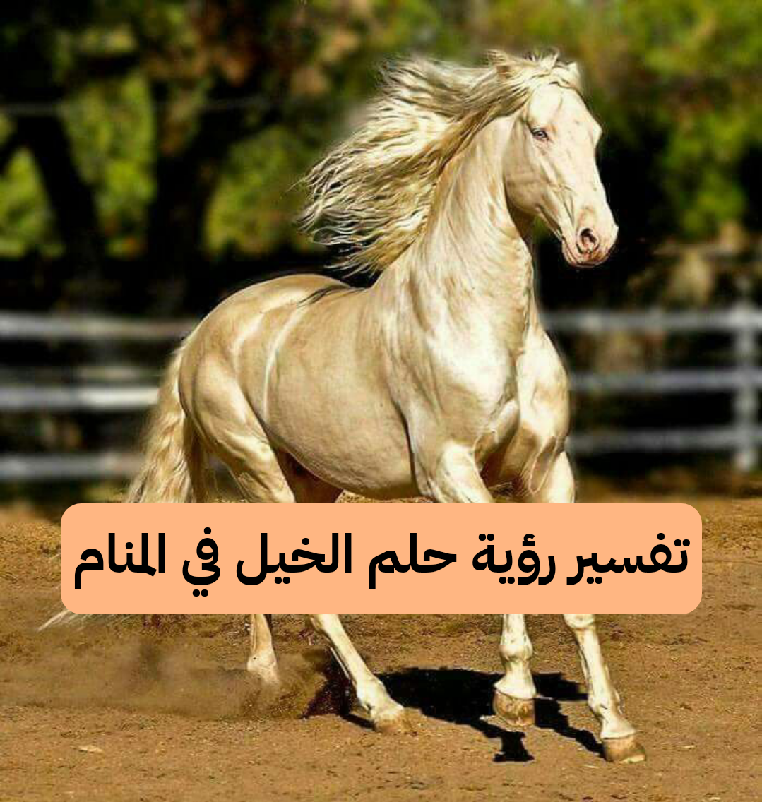 تفسير رؤية حلم الخيل في المنام للنابلسي
