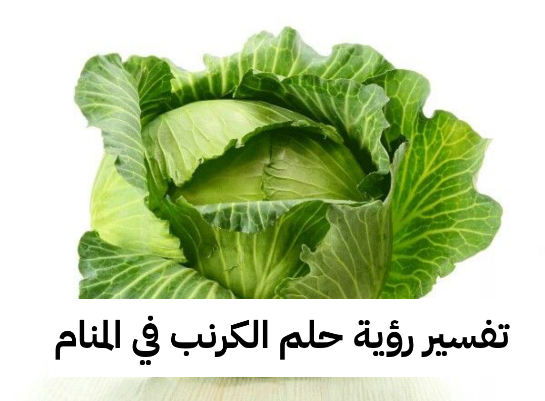 تفسير رؤية حلم الكرنب في المنام للعزباء والمتزوجة لابن سيرين بالتفصيل