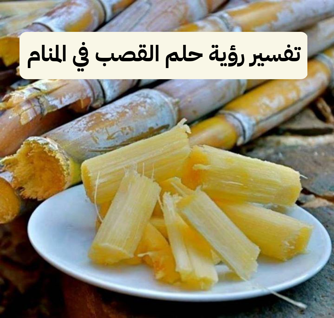 تفسير رؤية حلم القصب في المنام لابن سيرين