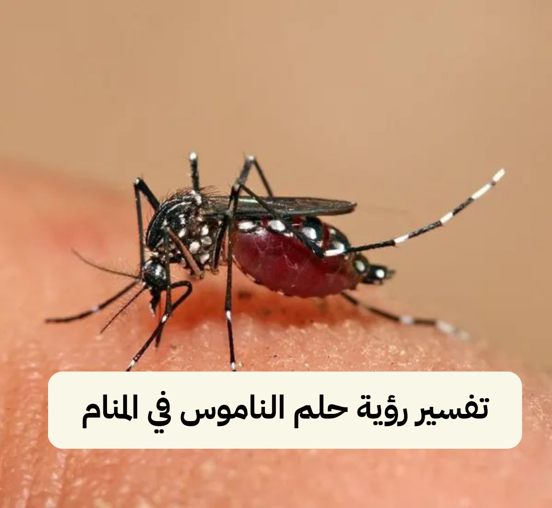 تفسير رؤية حلم الناموس في المنام ومعناه لابن سيرين