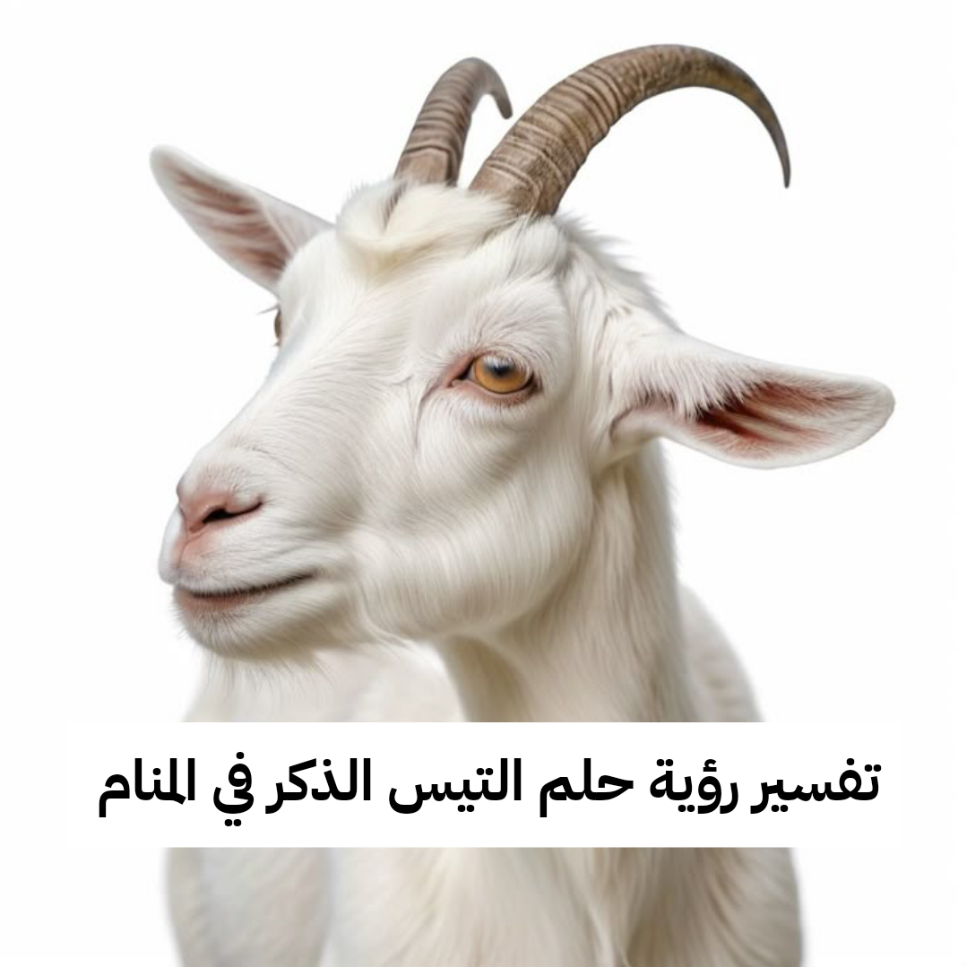 تفسير رؤية حلم التيس الذكر في المنام