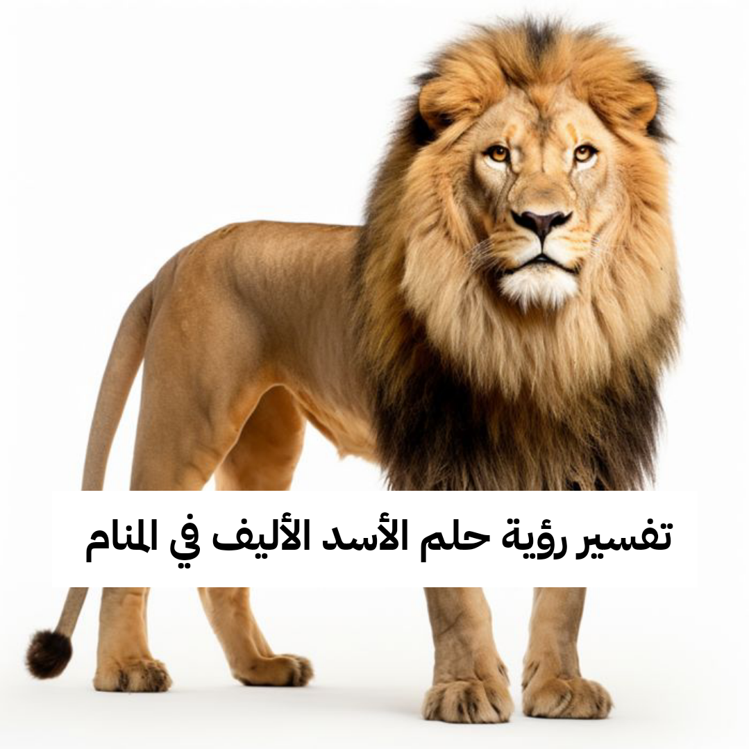 تفسير رؤية حلم الأسد الأليف في المنام ومعناه بالتفصيل