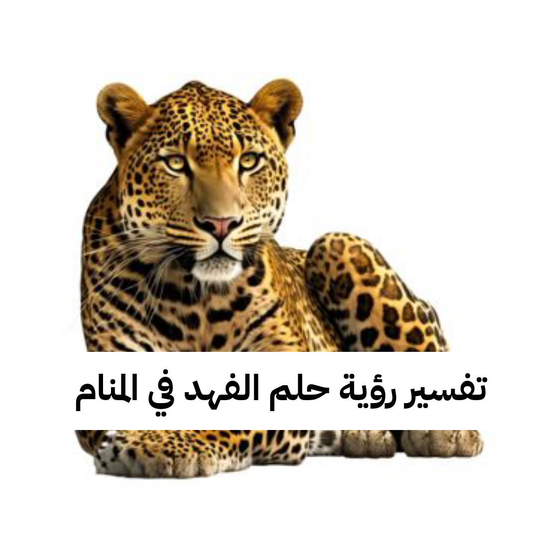 تفسير رؤية حلم الفهد في المنام ومعناه بالتفصيل لابن سيرين