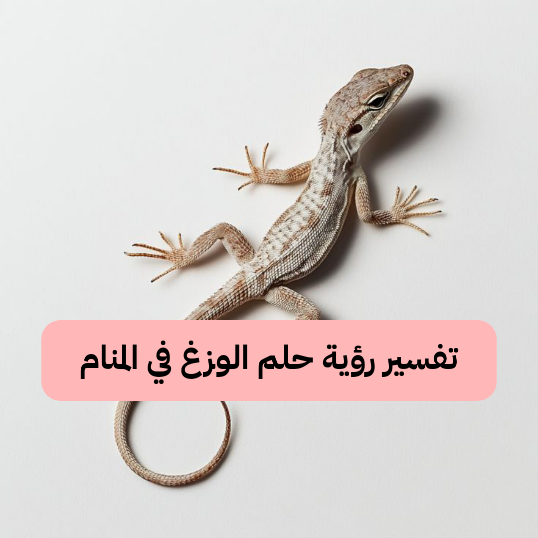 تفسير رؤية حلم الوزغ في المنام