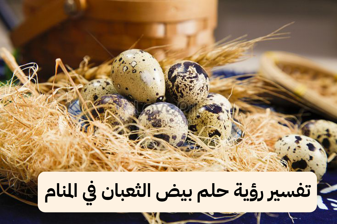 تفسير رؤية حلم بيض الثعبان في المنام لابن سيرين