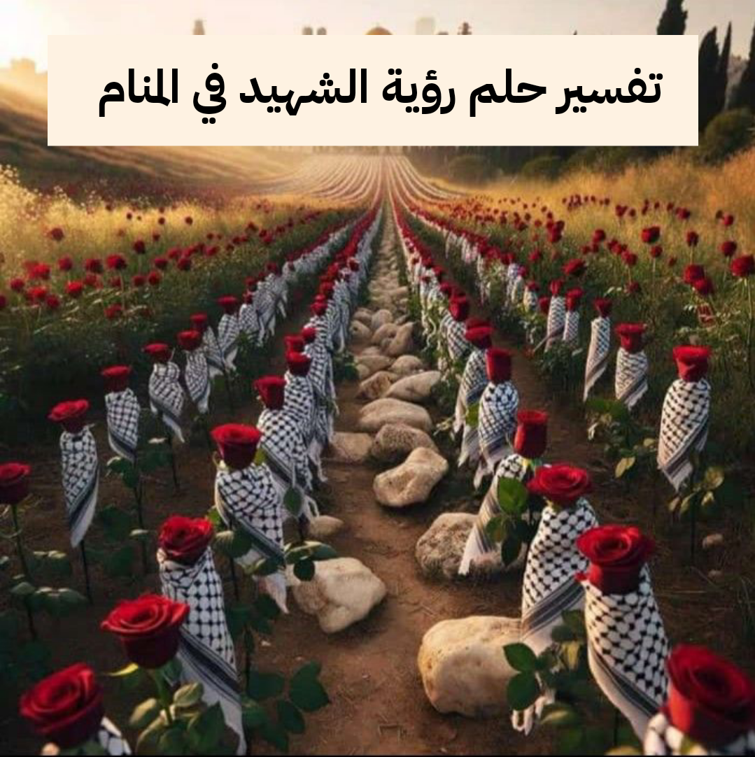 تفسير حلم رؤية الشهيد في المنام لابن سيرين