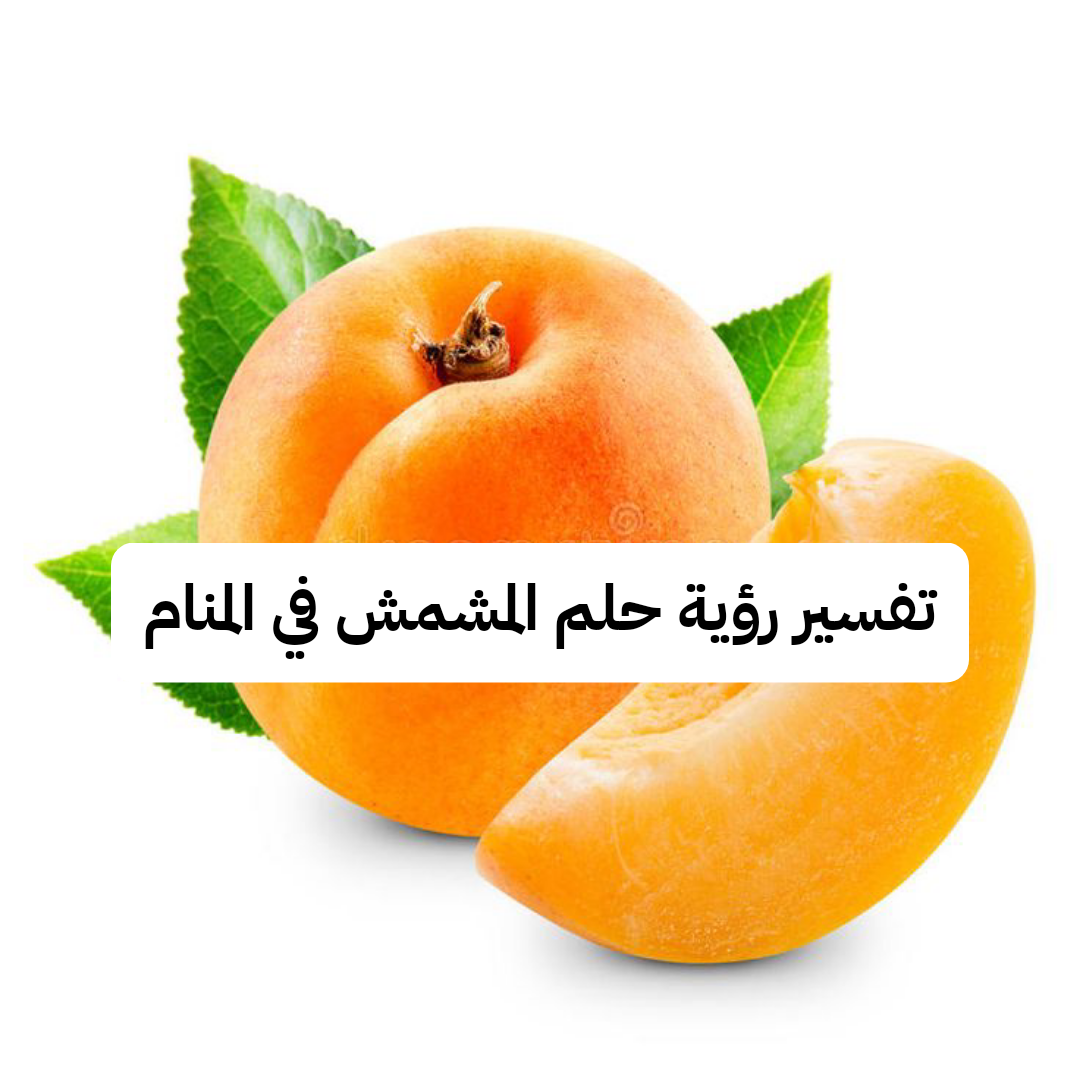 تفسير رؤية حلم المشمش في المنام لابن سيرين