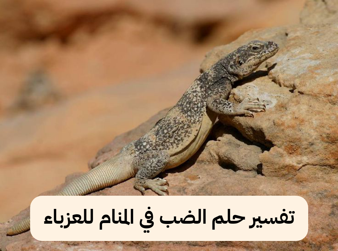 تفسير حلم الضب في المنام للعزباء – رمز رؤية السحلية في الحلم